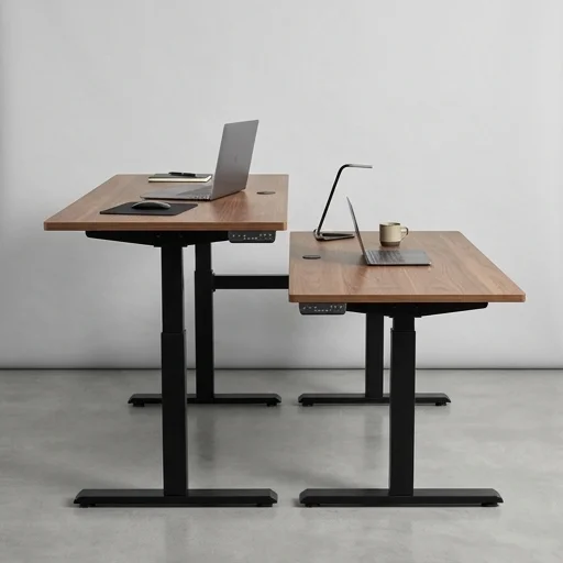 Rize Rize Duo Desk